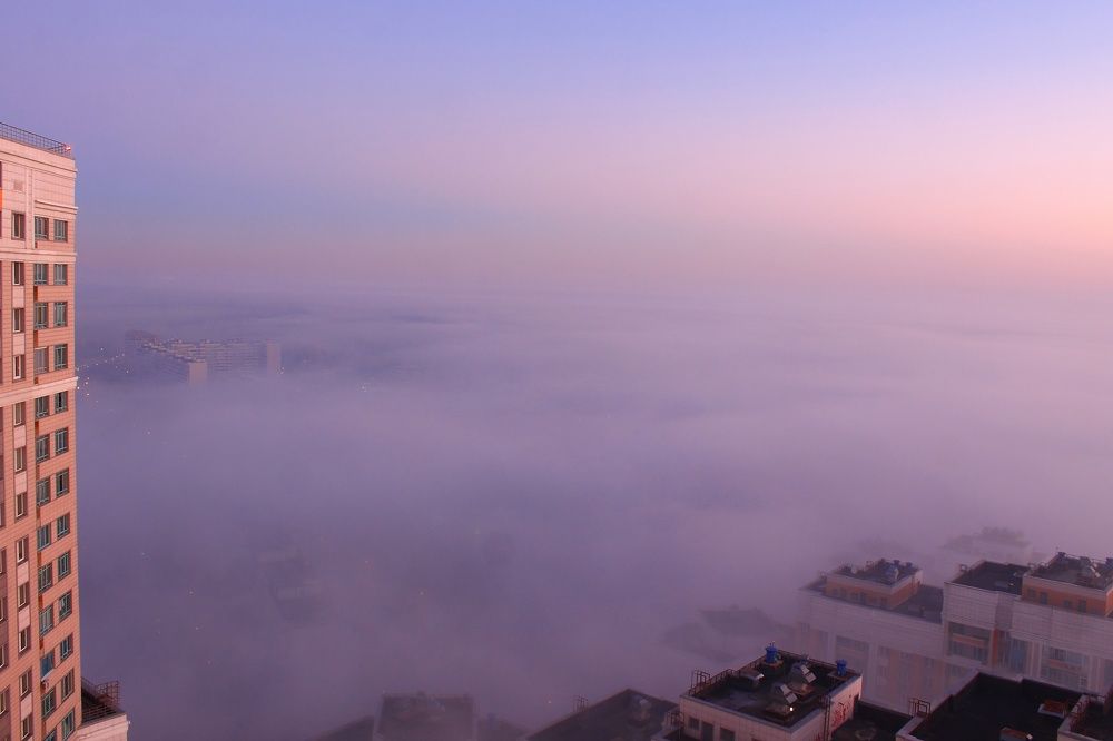 Photograph by Александр Большаков