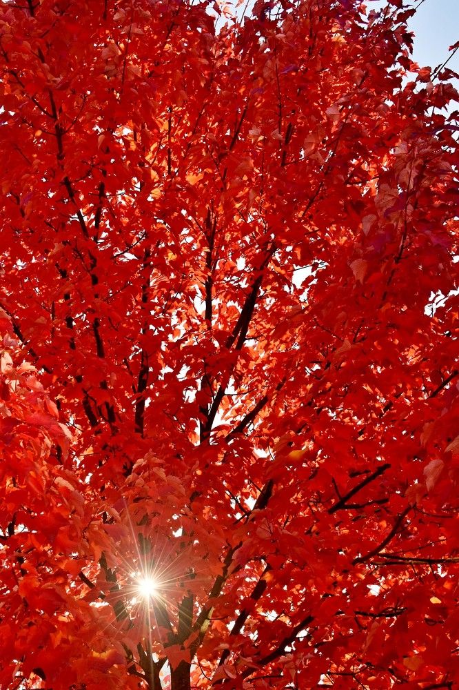 Photograph by Alexey Smal