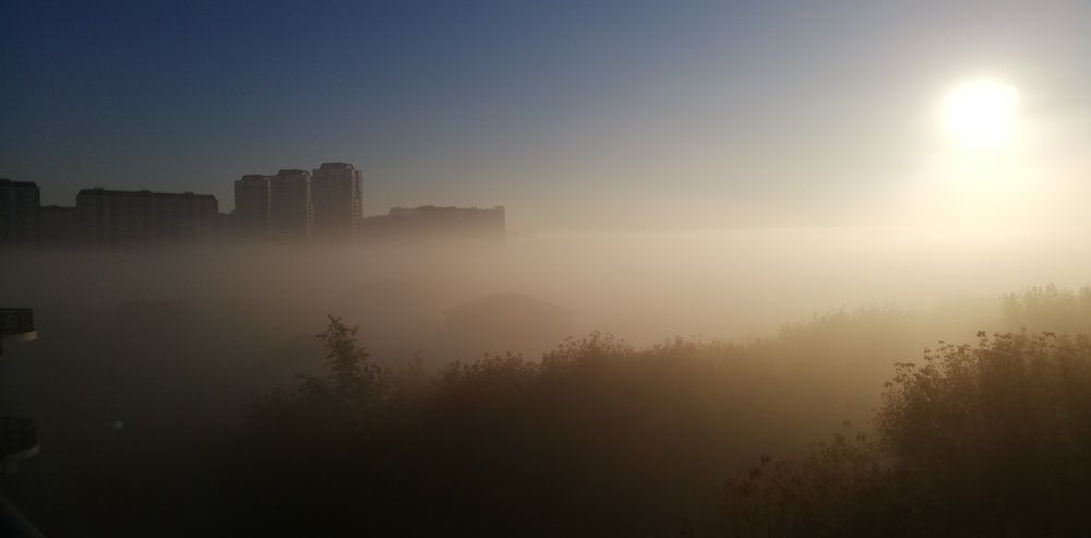 Photograph by Лариса Неудачина