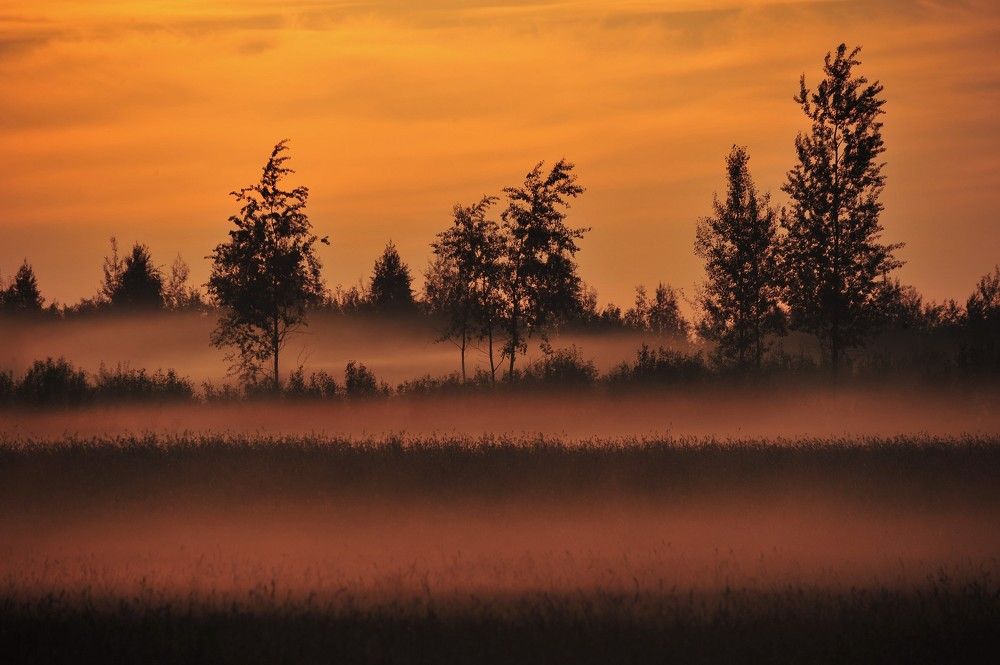 Туман!Или мне это снится!?