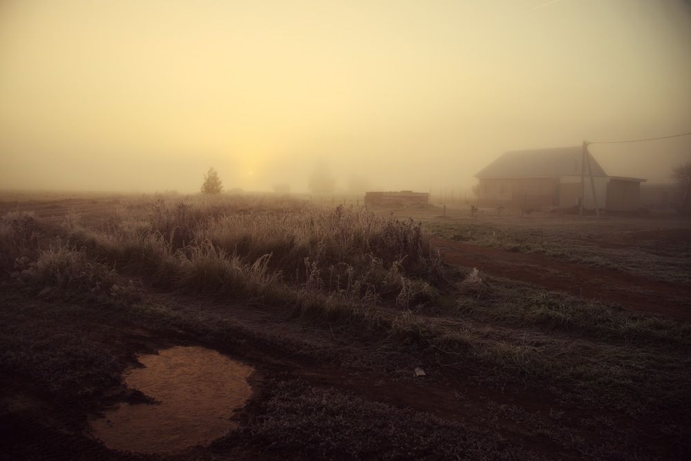 Photograph by Oleg M Kulishov