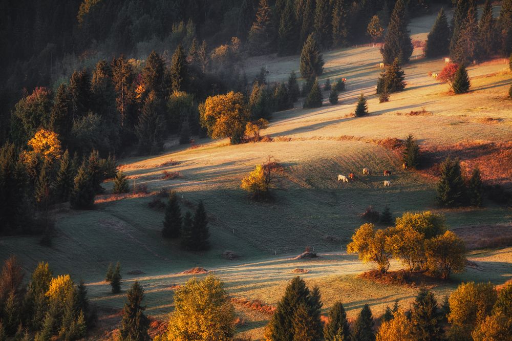 Photograph by Figat Marcin