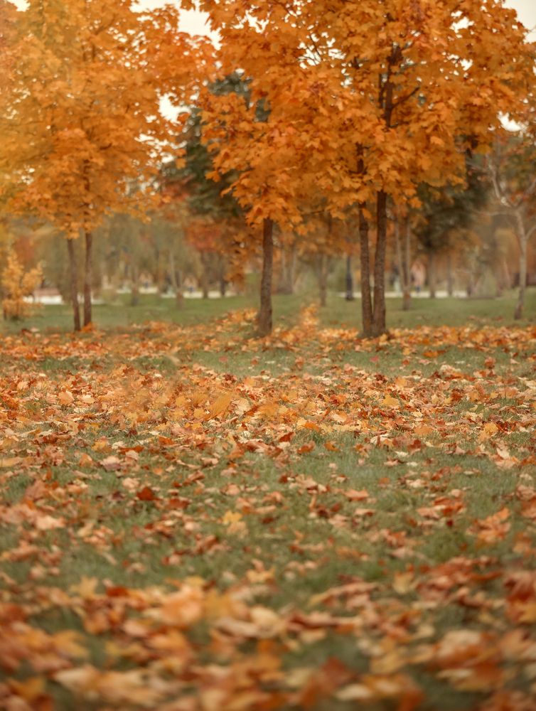 Photograph by Ирина Кленкова