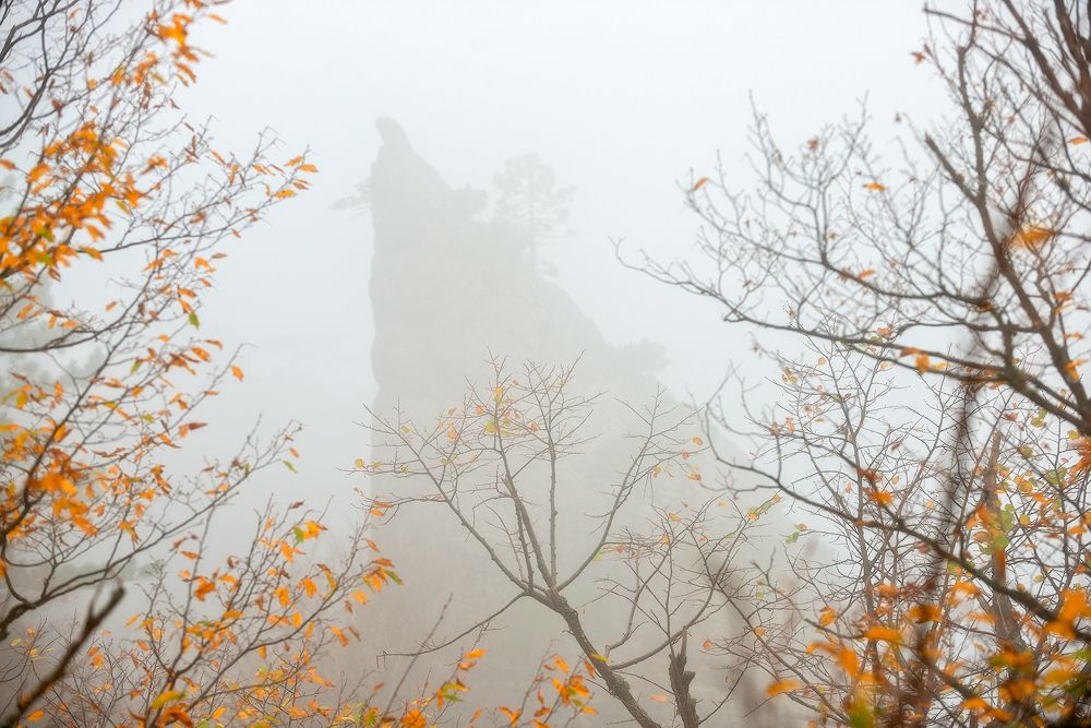 Photograph by Евгений Дробжев