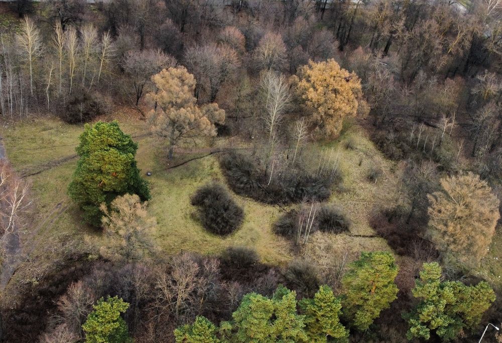 Photograph by Николай Тышкунов