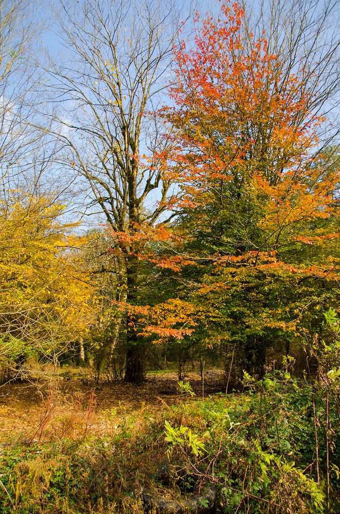 Photograph by Sahar Jafari