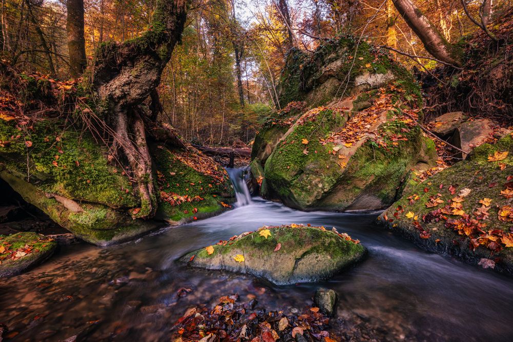 Фотография автора Christian Kieffer