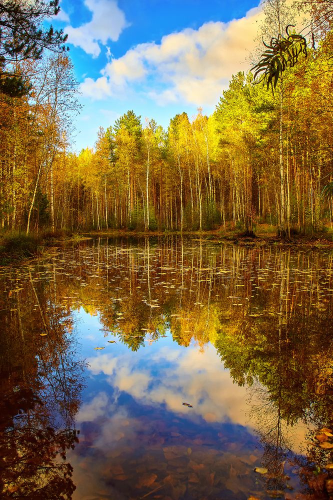 Photograph by Сергей Лисов