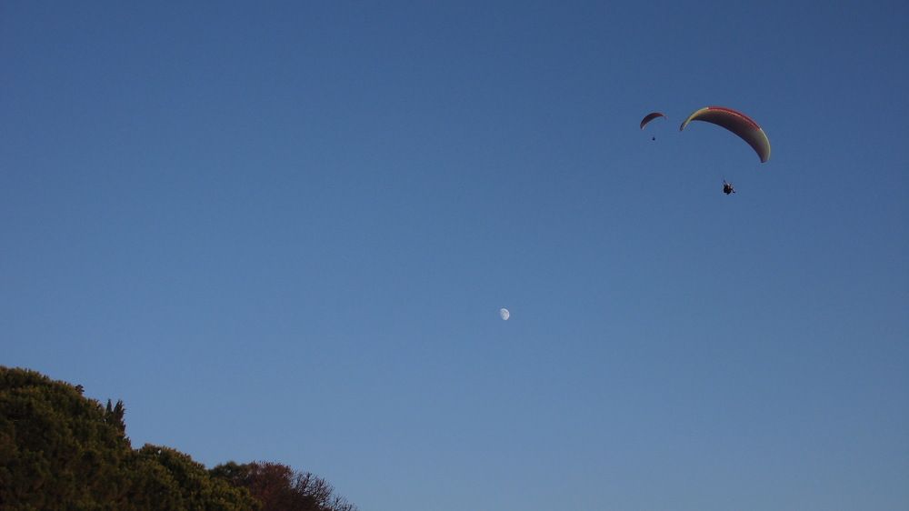 Photograph by Лариса Неудачина