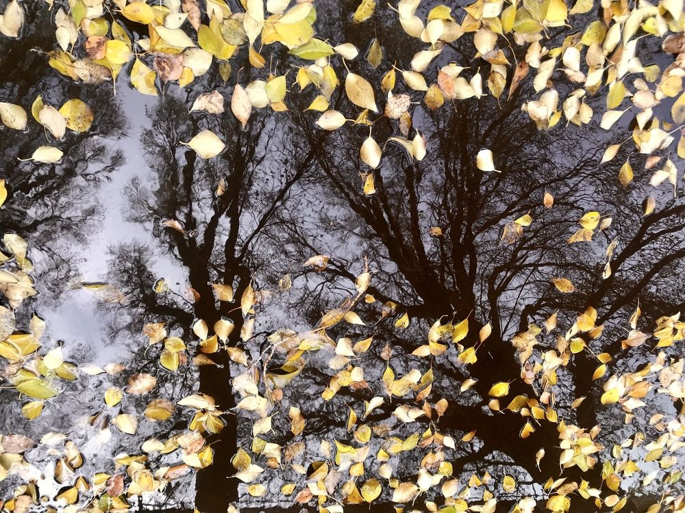 Photograph by Анастасия Клевец