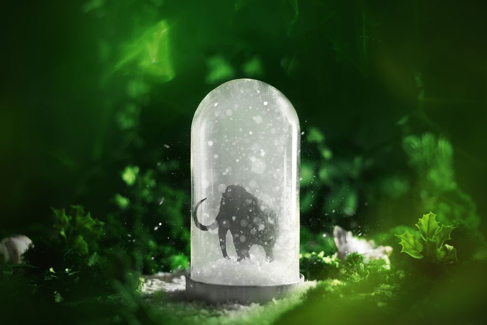 Photograph by Ольга Ильина