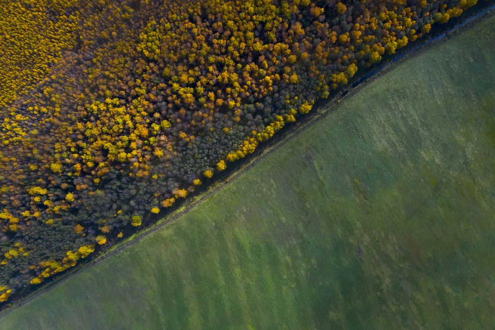 Photograph by Александр Чазов