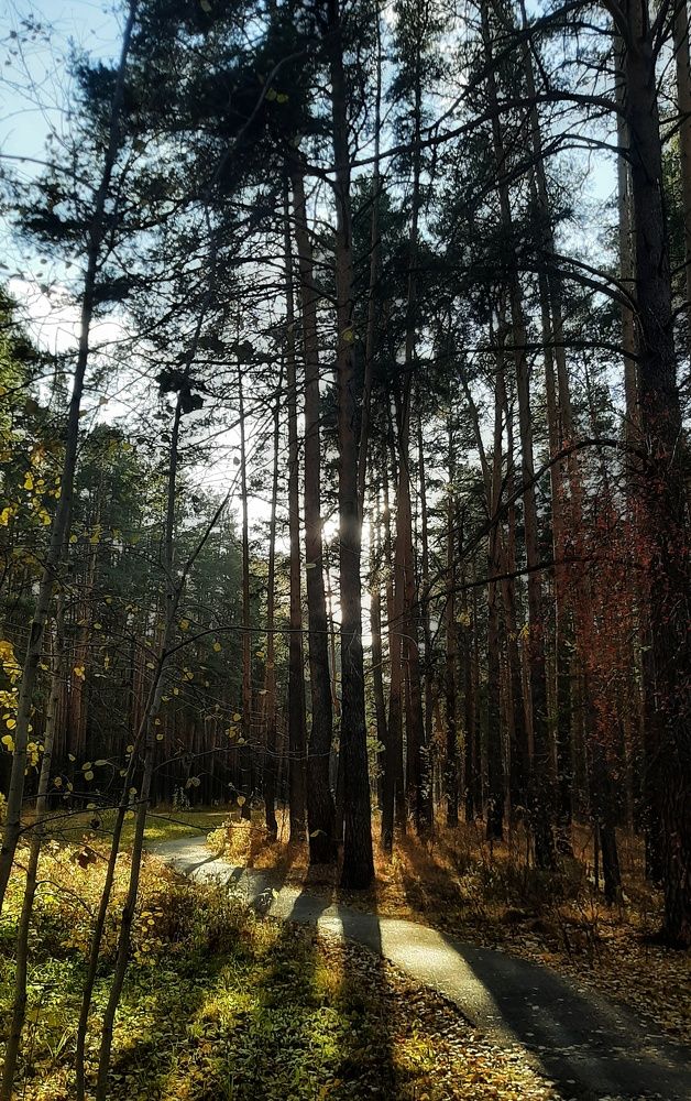 Photograph by Галина Мальцева