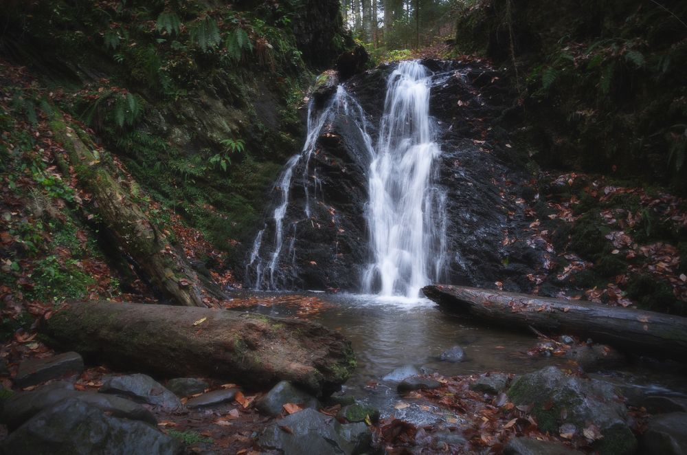 Photograph by Антон Литвин