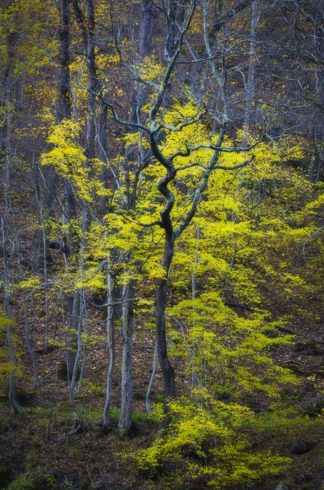 Photograph by Антон Литвин