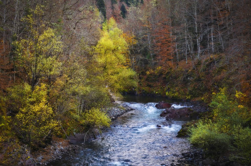 Photograph by Антон Литвин