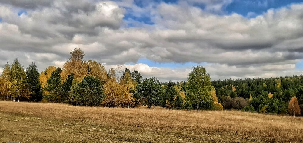 Photograph by Галина Мальцева
