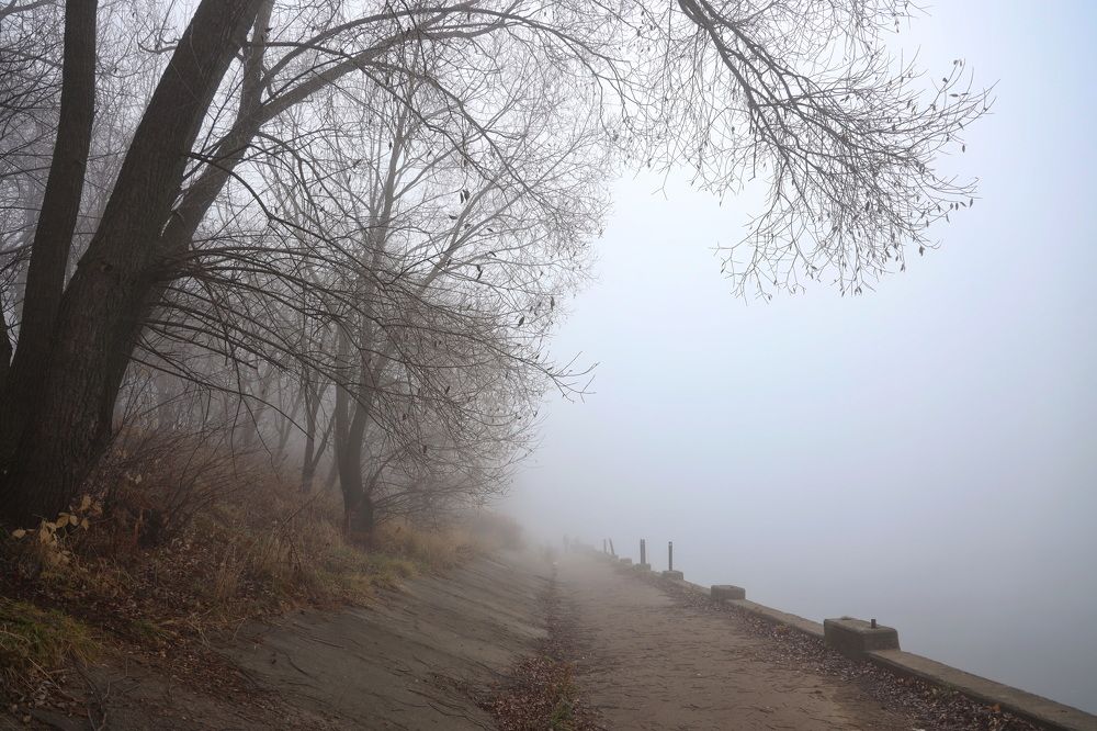 Фотография автора Елена Колосова