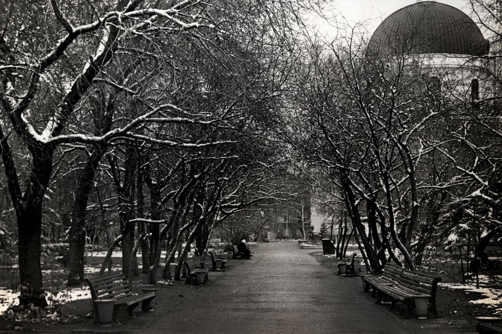 Photograph by Владимир Ануфриенко