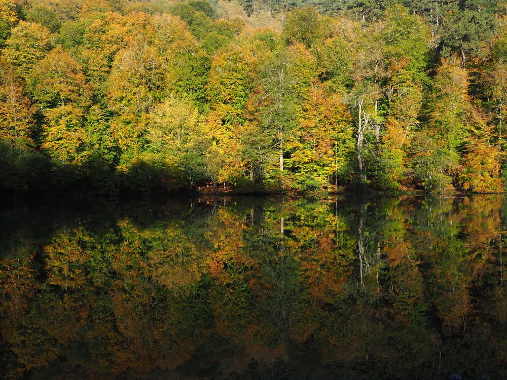 Photograph by Cuneyt Gungor