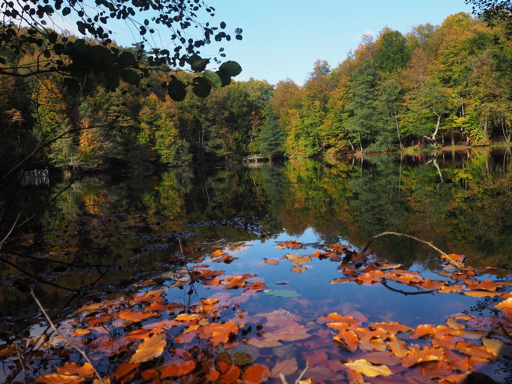 Photograph by Cuneyt Gungor