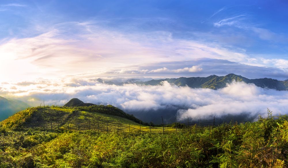 Photograph by THANH TUNG PHAM