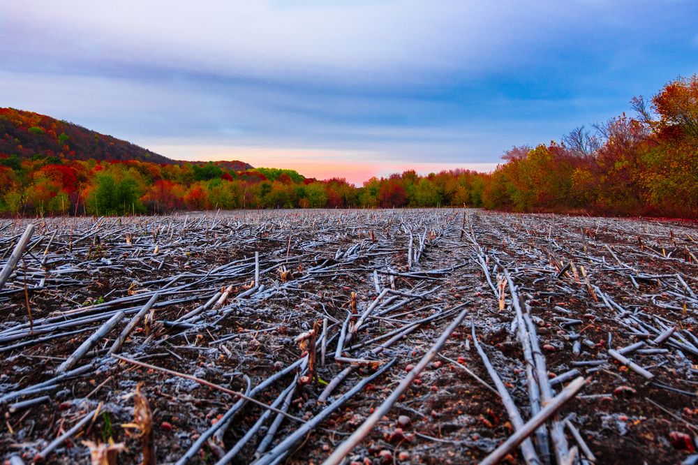 Photograph by Алексей Шалашов