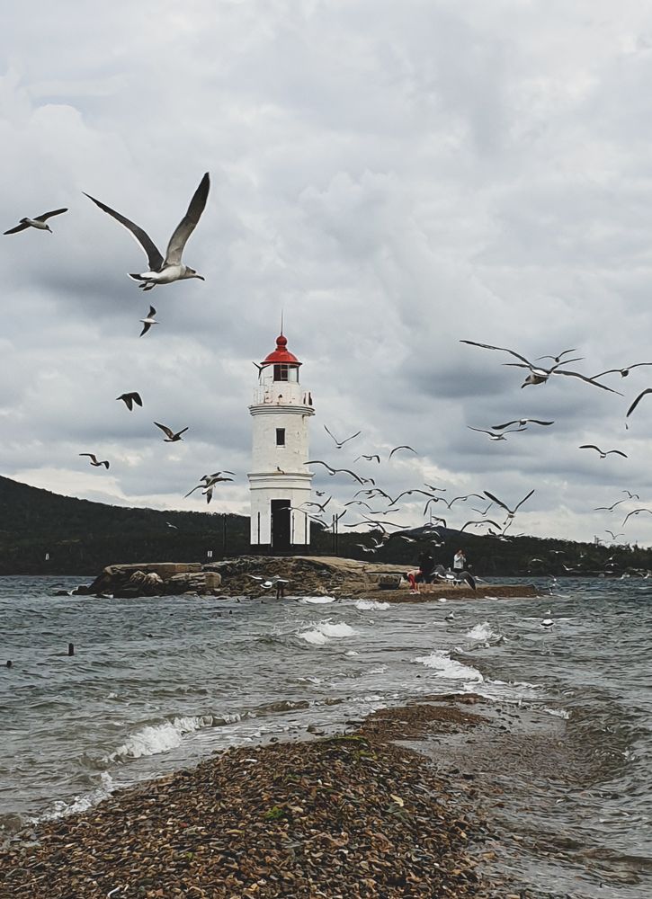 Photograph by ANASTASIYA NIKOLSKAYA