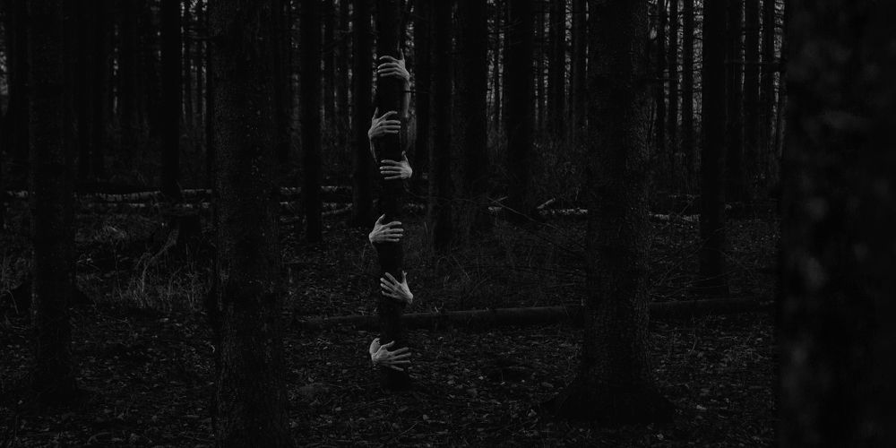 Photograph by Анастасия Кобелева