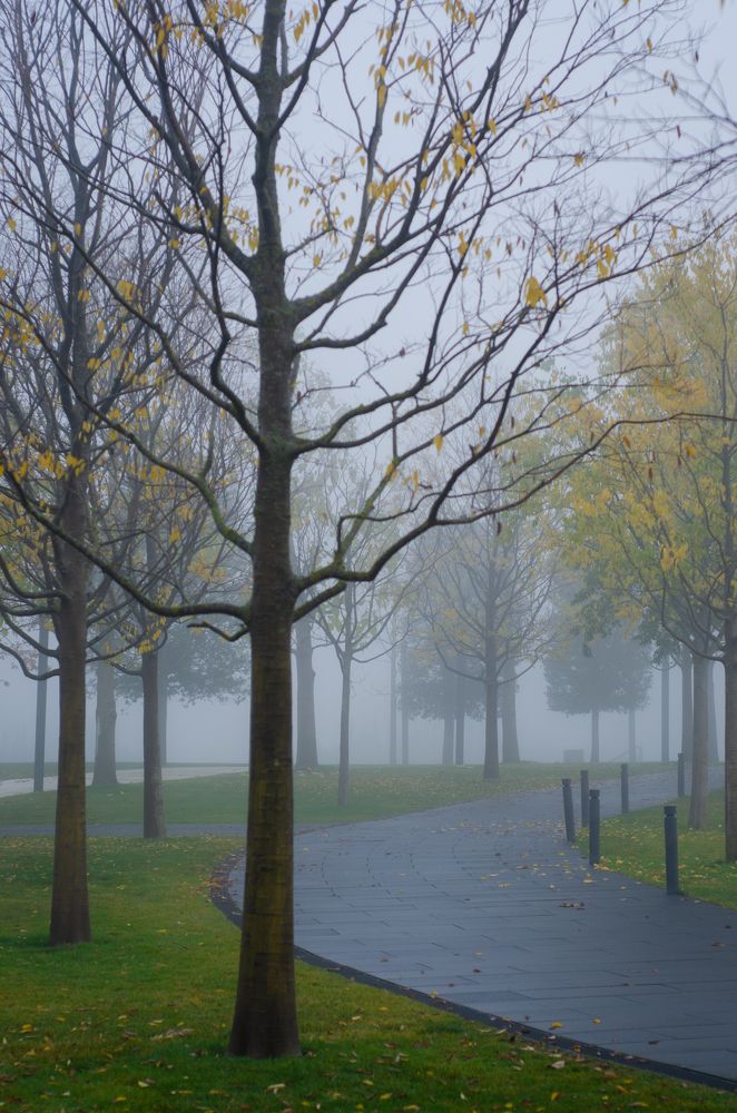 Photograph by Анастасия Кашенко