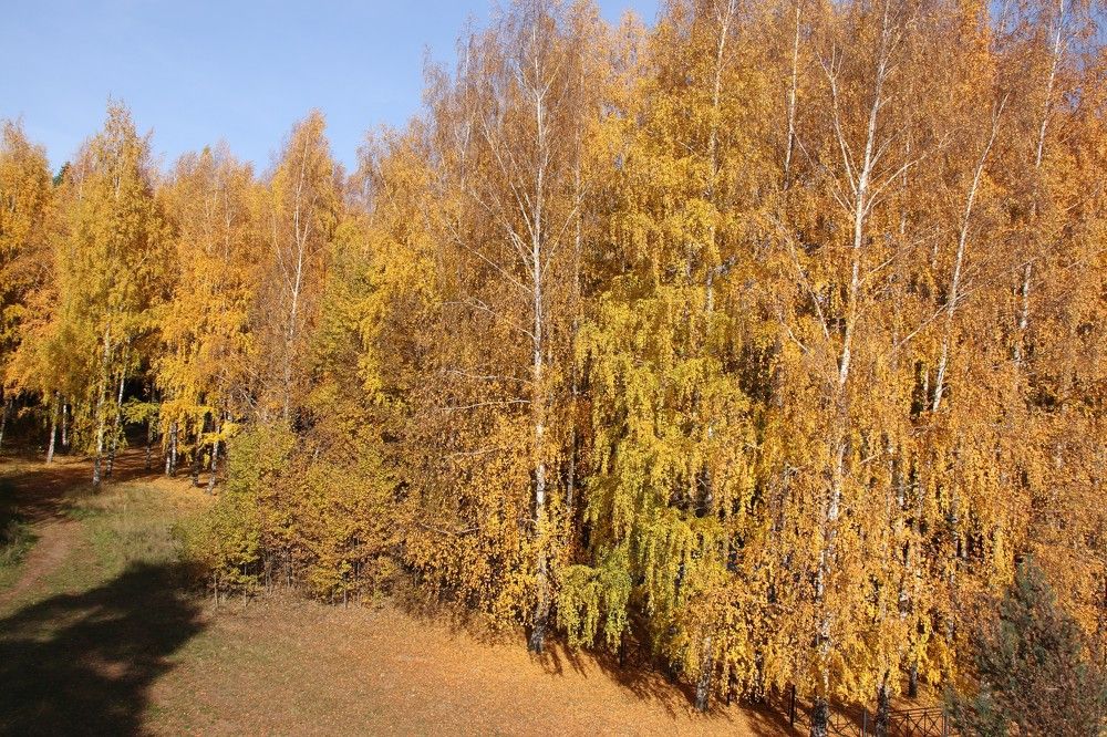 Photograph by Михаил Костыря