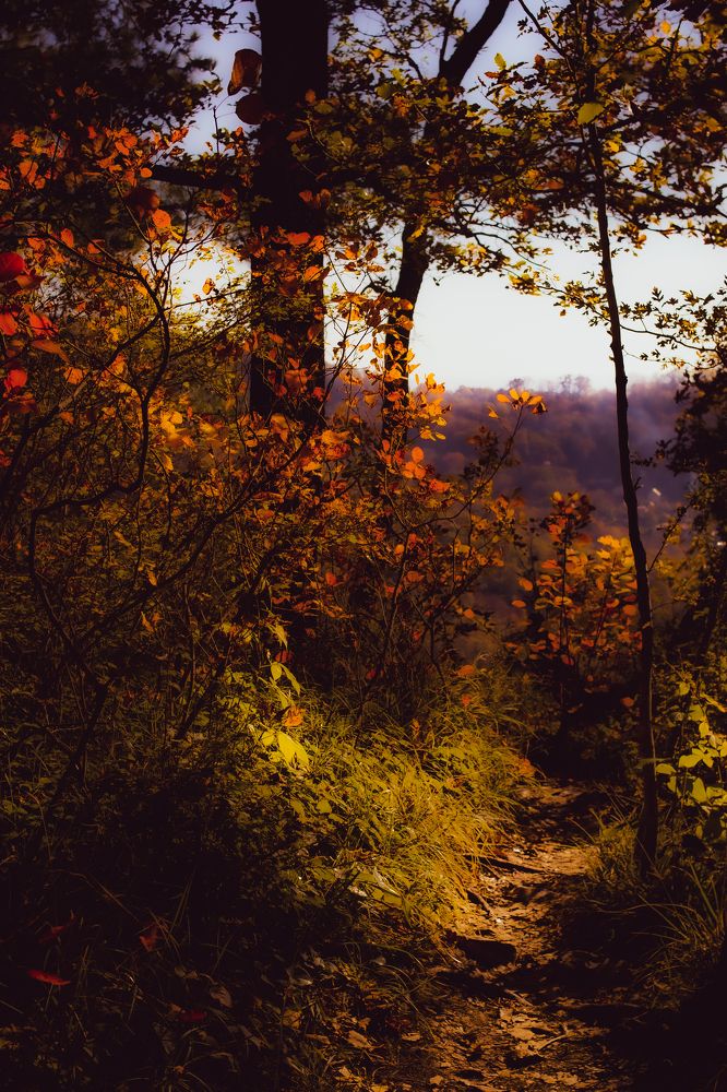 Тропинка на Орлиные скалы.