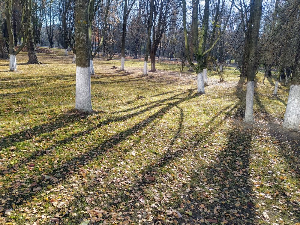 Photograph by Ирина Пшеничникова