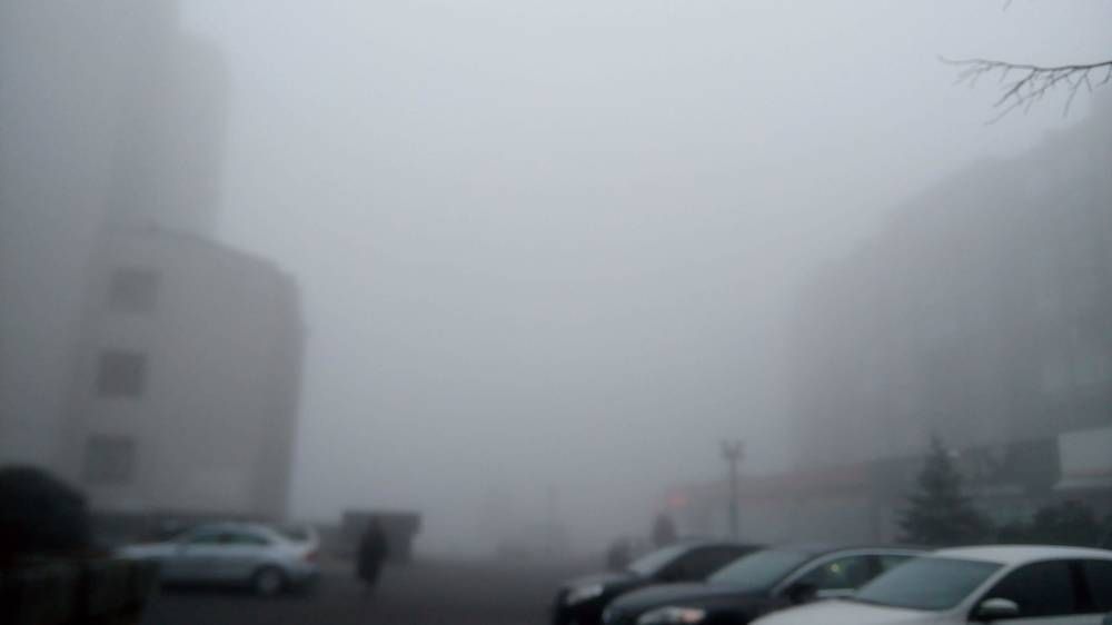 Photograph by Ирина Пшеничникова