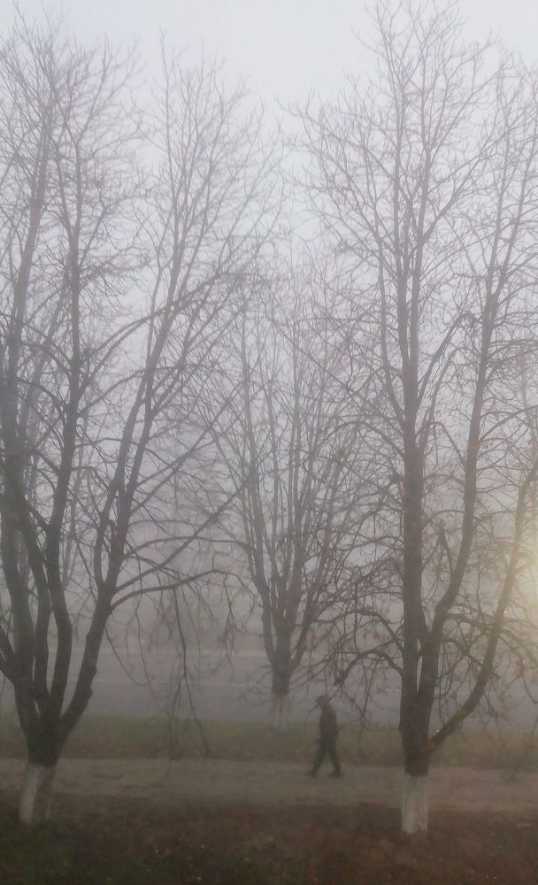 Photograph by Ирина Пшеничникова