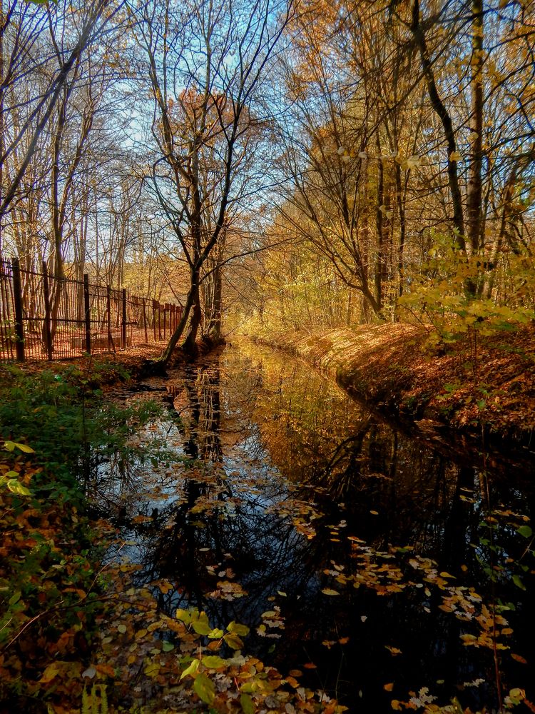 Photograph by Раиса Искакова