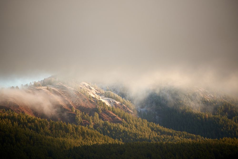 Photograph by Михаил Рогачев