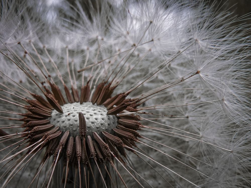 Photograph by Ольга Еженевская