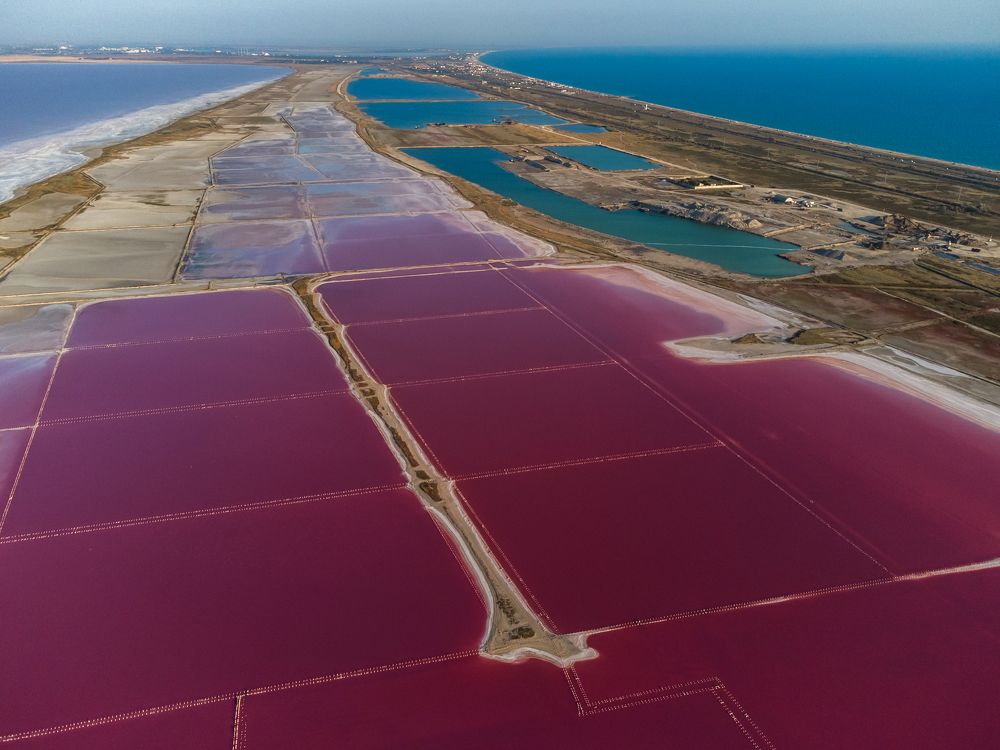 Pink Lake in Crimea