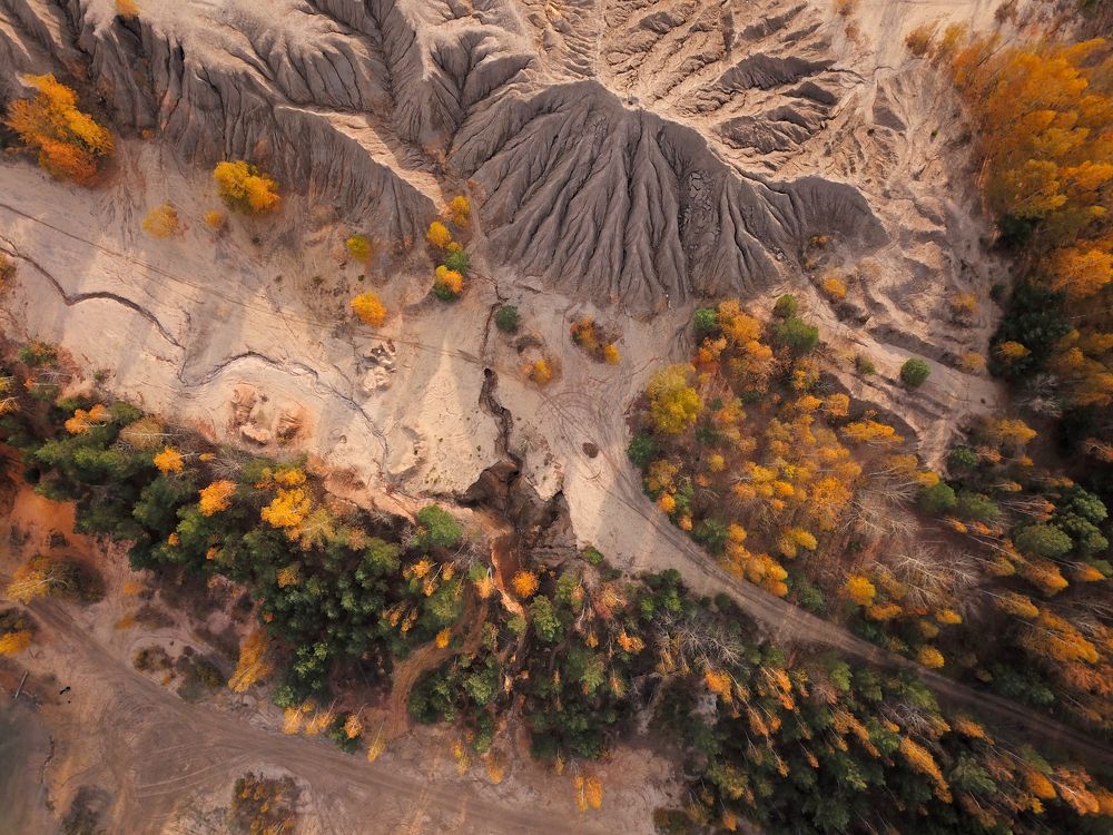 Photograph by Юлия Абрамова