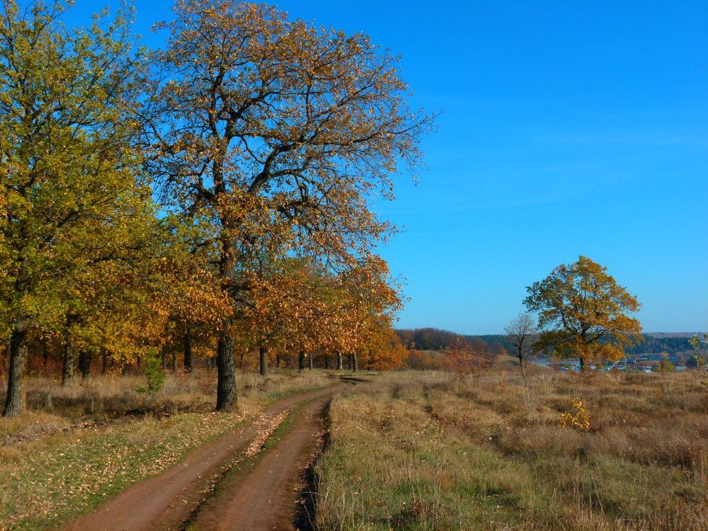 Photograph by Александр Кизим