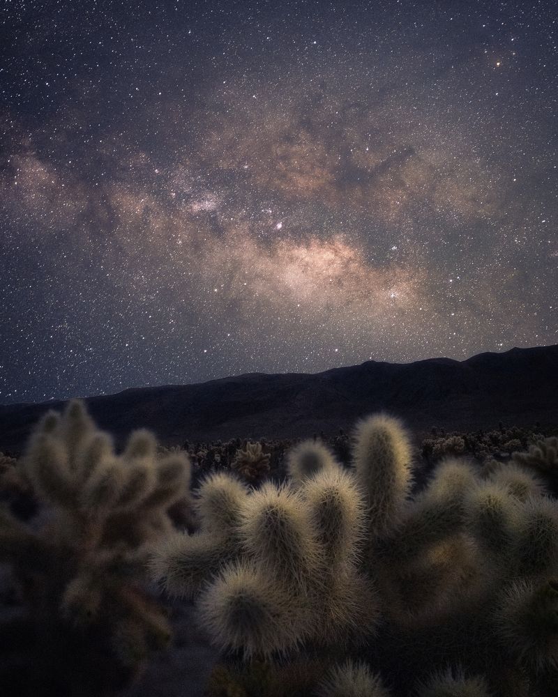 Photograph by Robert Welsted