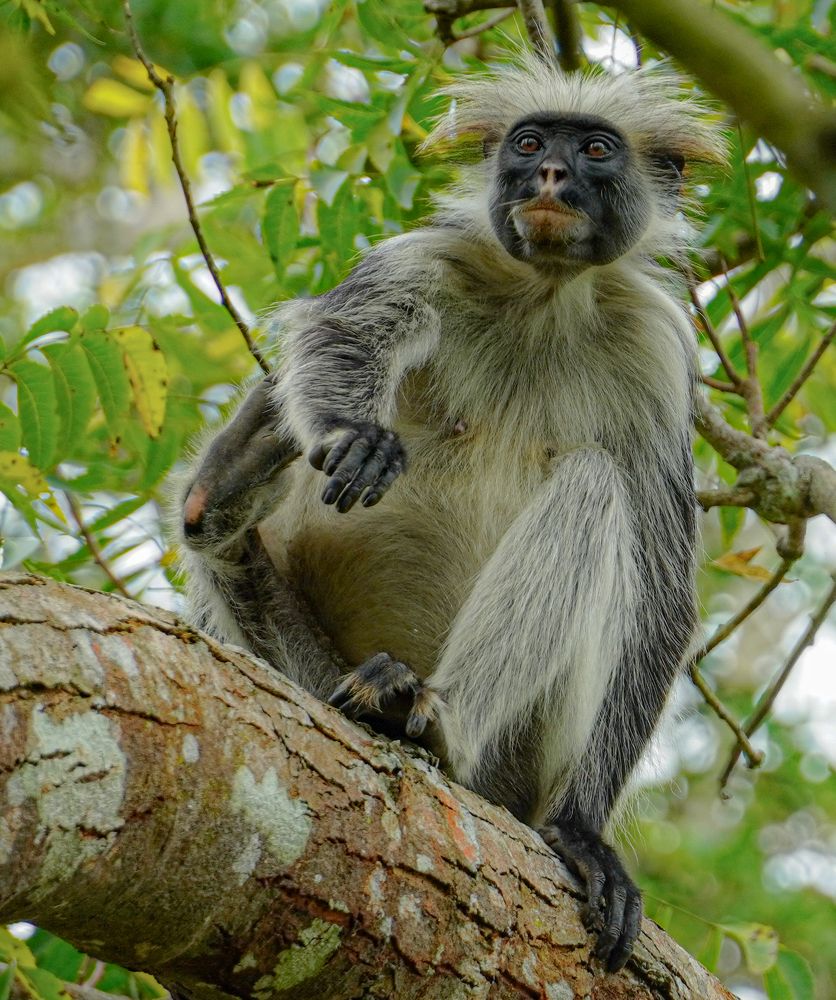 Photograph by Ольга Ларизадех