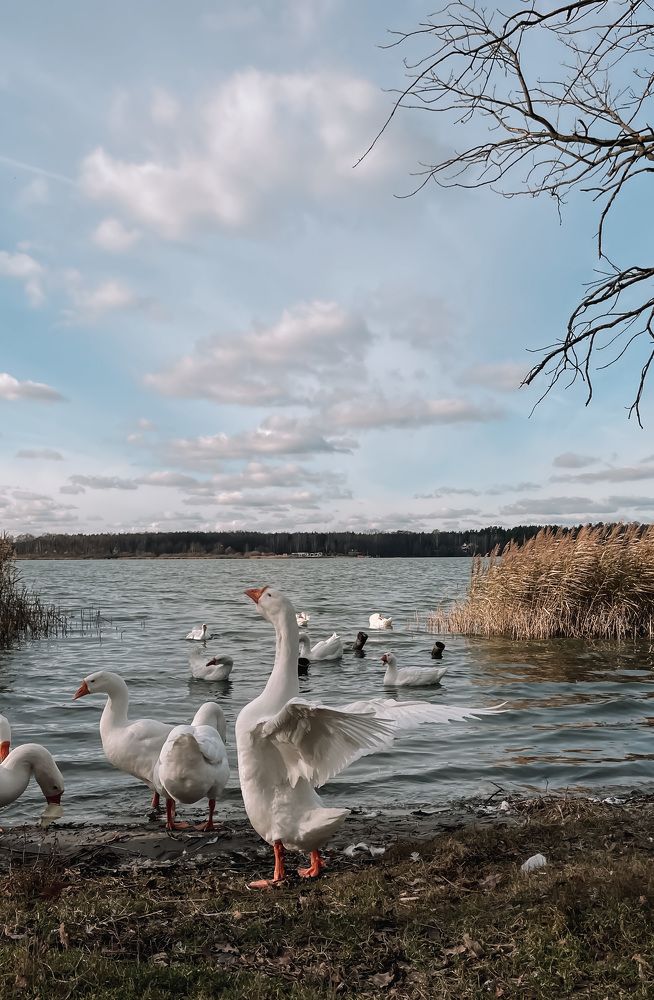 Photograph by Ян Ступкин