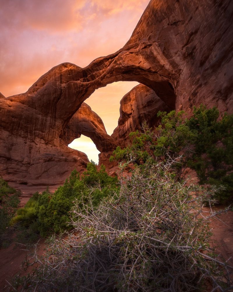 Фотография автора Robert Welsted