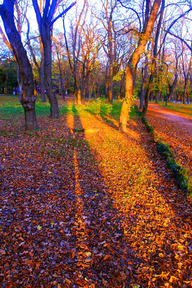 Photograph by Юрий Рыдалёв