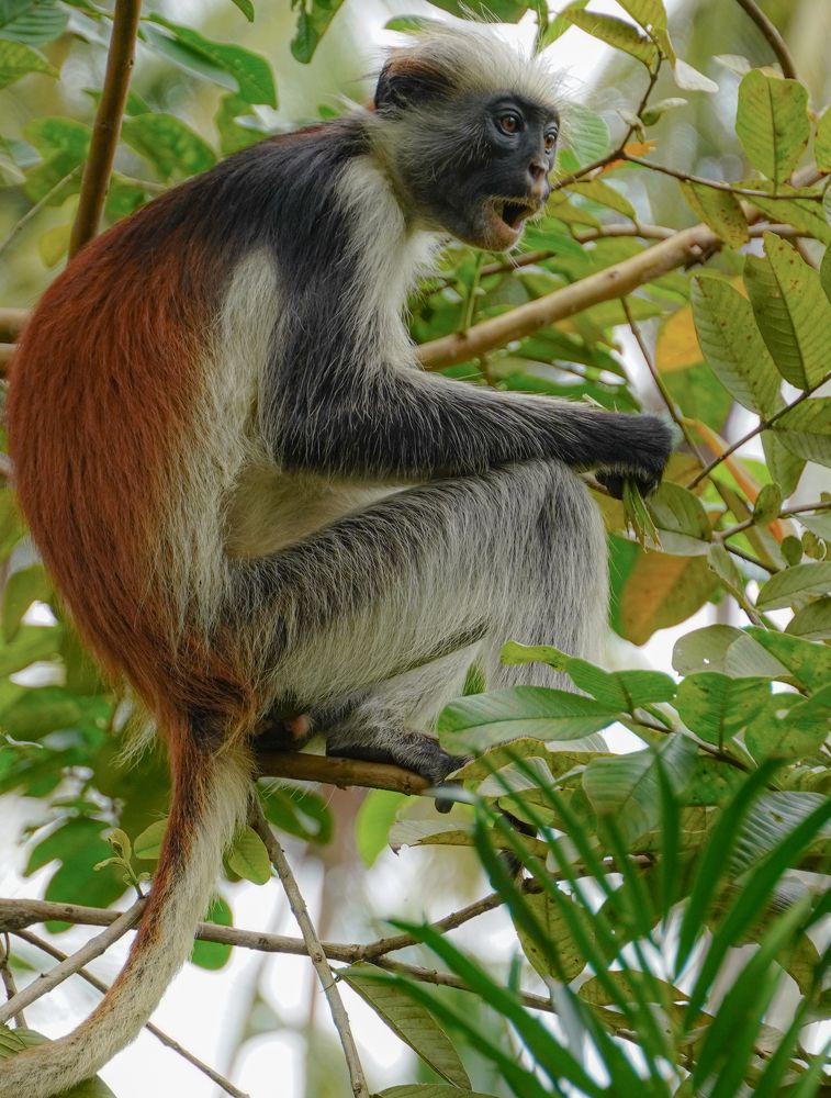 Photograph by Ольга Ларизадех