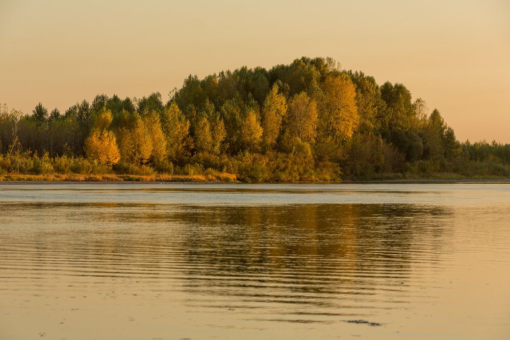 Фотография автора Ольга Гордеева