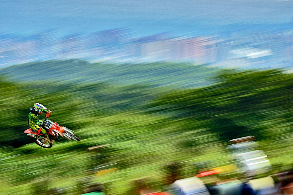 Lo mas cercano a un pajaro