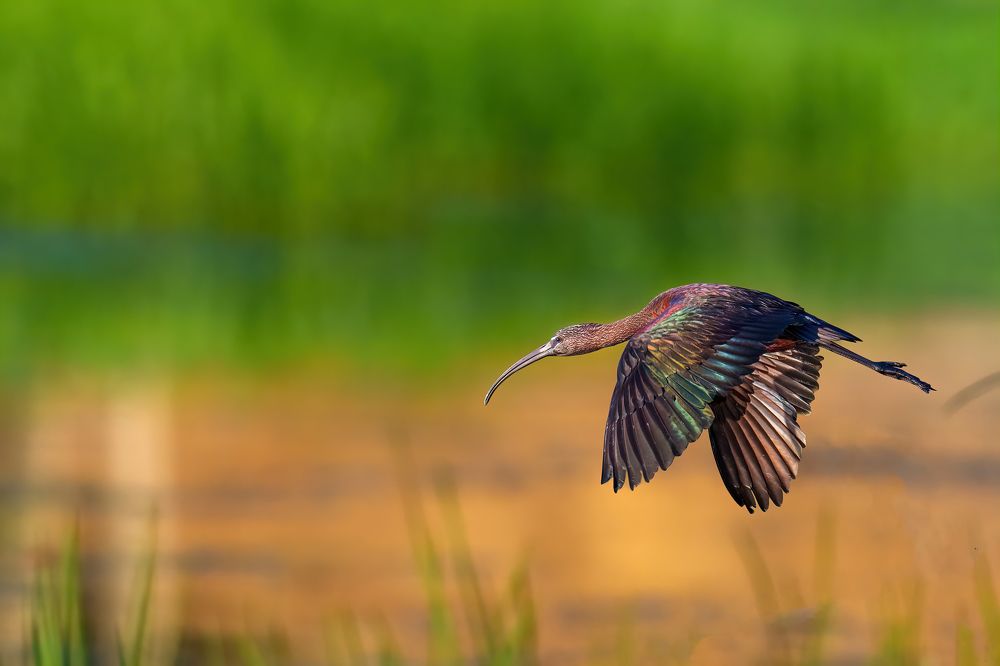 Photograph by Eddie Adamov